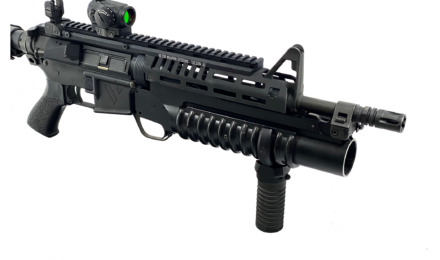 CASV-EL HANDGUARD